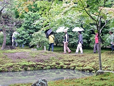 写真拡大