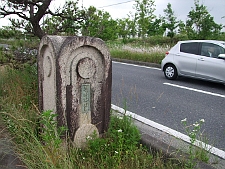写真拡大