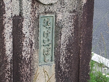 写真拡大