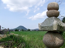 写真拡大