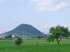 写真拡大