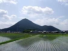 写真拡大