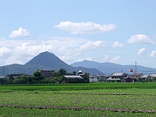 写真拡大