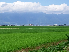 写真拡大