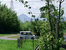 写真拡大