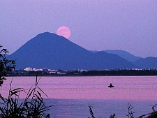 写真拡大
