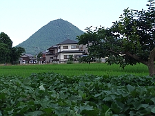 写真拡大