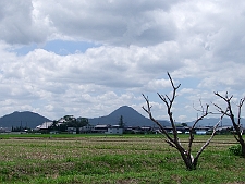写真拡大