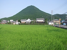 写真拡大
