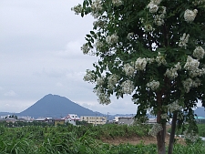 写真拡大