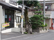 写真拡大