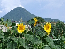 写真拡大