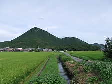 写真拡大
