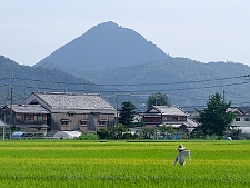 写真拡大