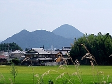 写真拡大