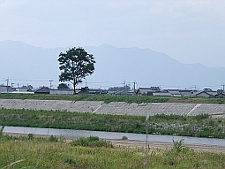 写真拡大