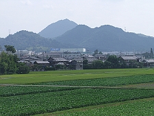 写真拡大