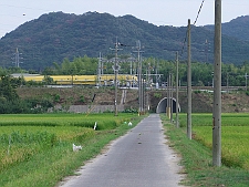 写真拡大