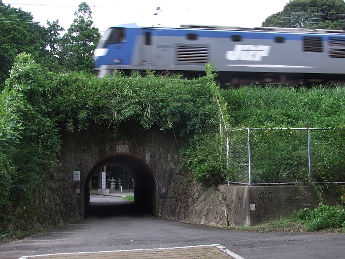 写真拡大