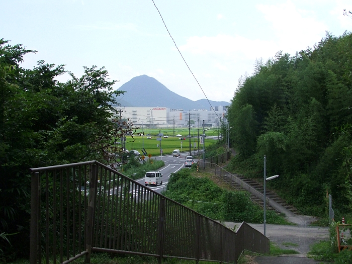 写真拡大