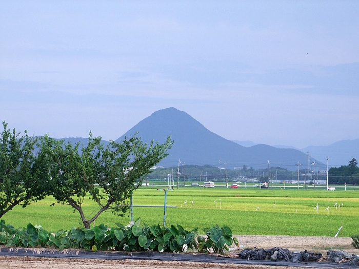 写真拡大