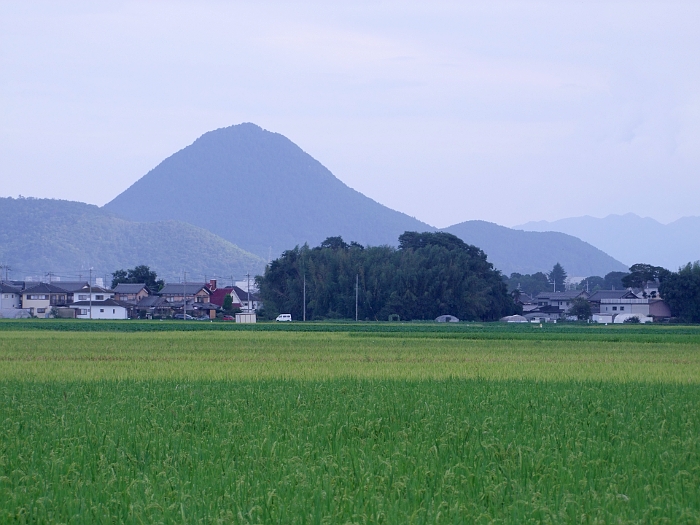 写真拡大