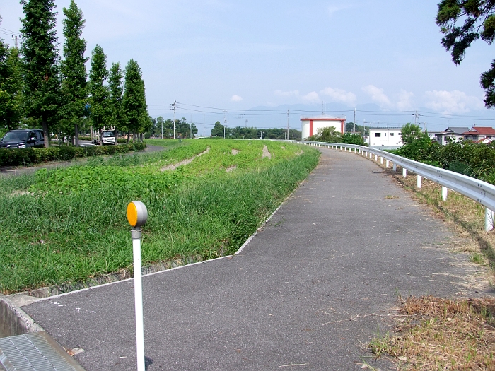 写真拡大