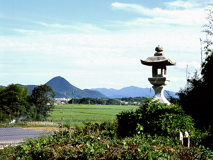 写真拡大