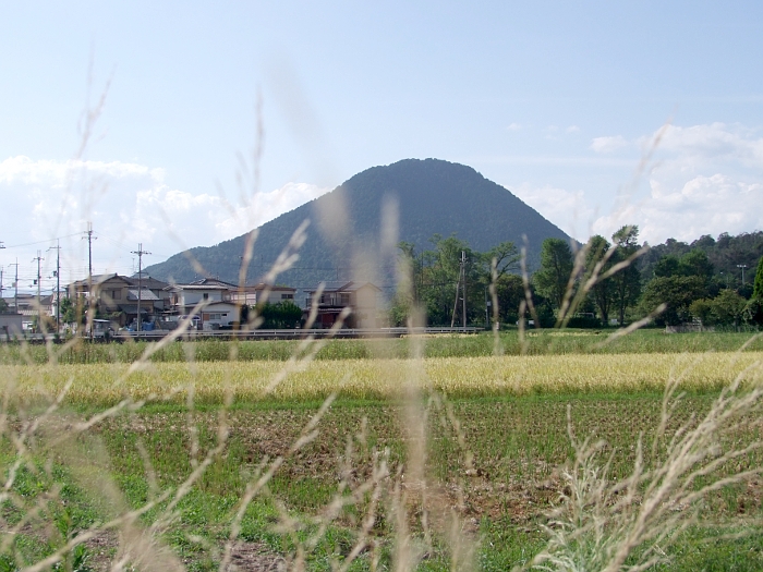 写真拡大