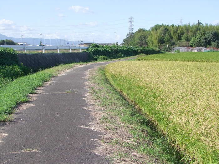 写真拡大