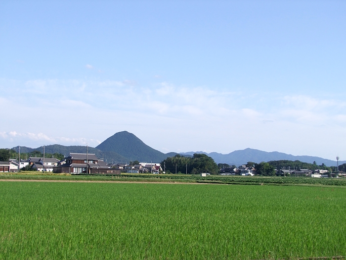 写真拡大