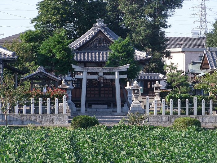 写真拡大