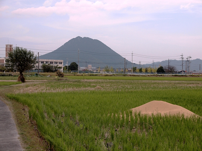 写真拡大