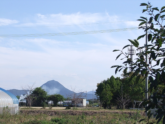 写真拡大