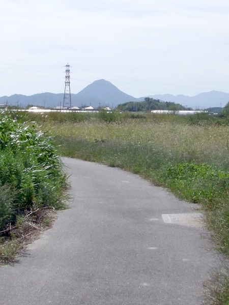 写真拡大
