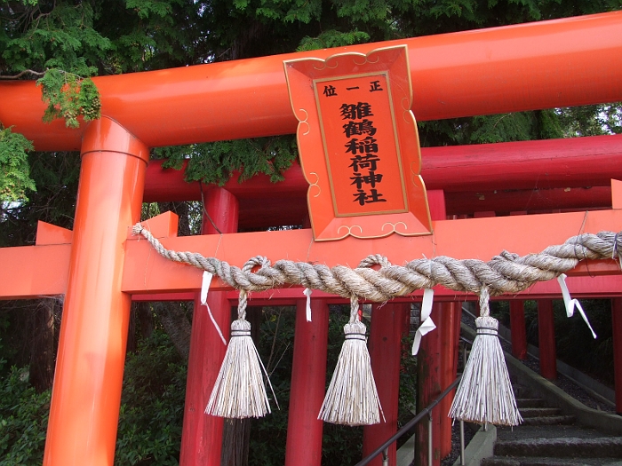 写真拡大