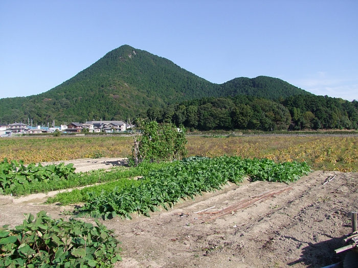 写真拡大