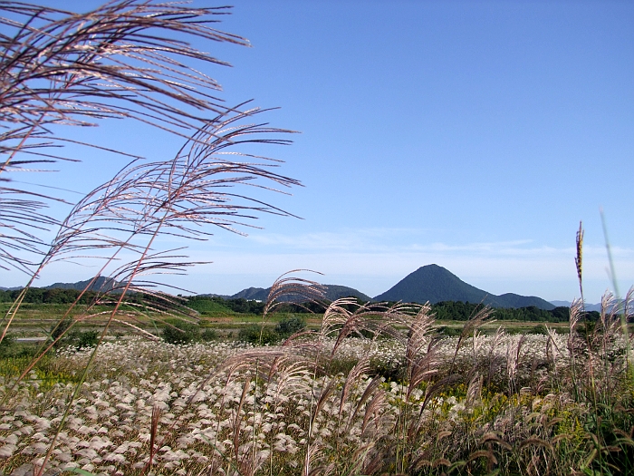 写真拡大