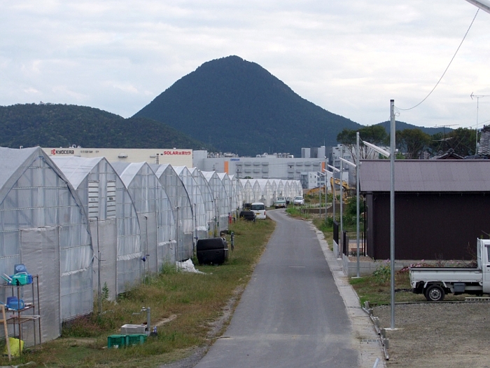 写真拡大