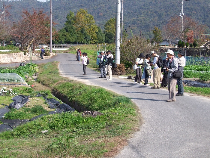 写真拡大