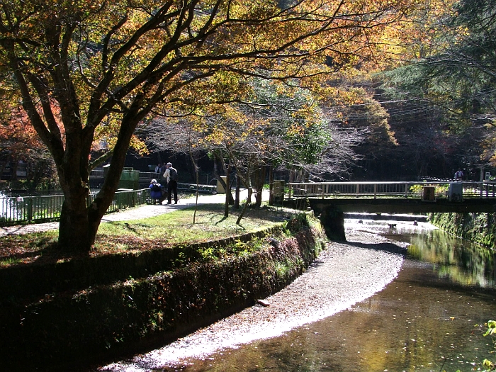 写真拡大