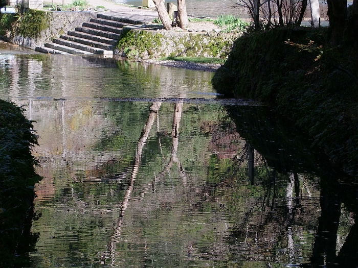 写真拡大