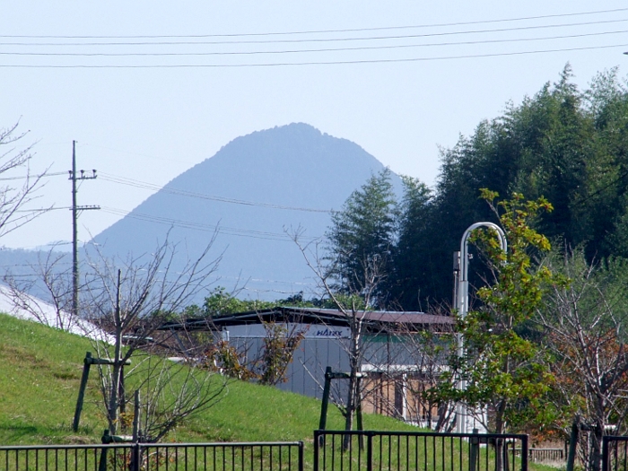 写真拡大