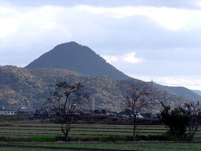 写真拡大
