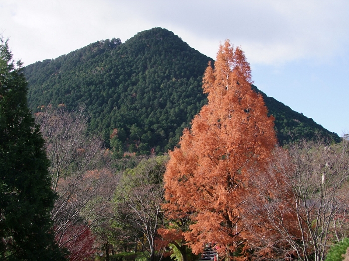 写真拡大