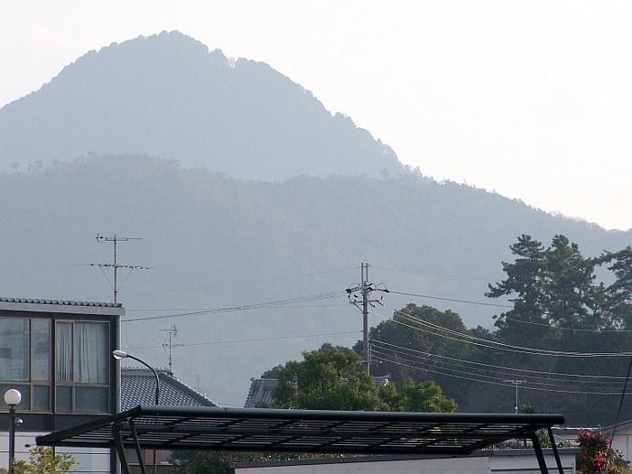 写真拡大