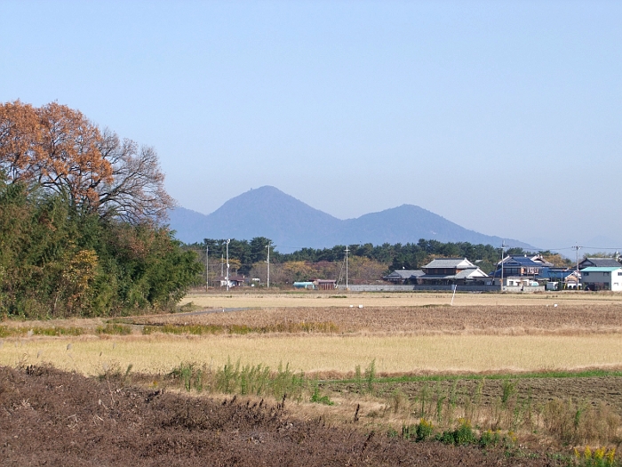 写真拡大