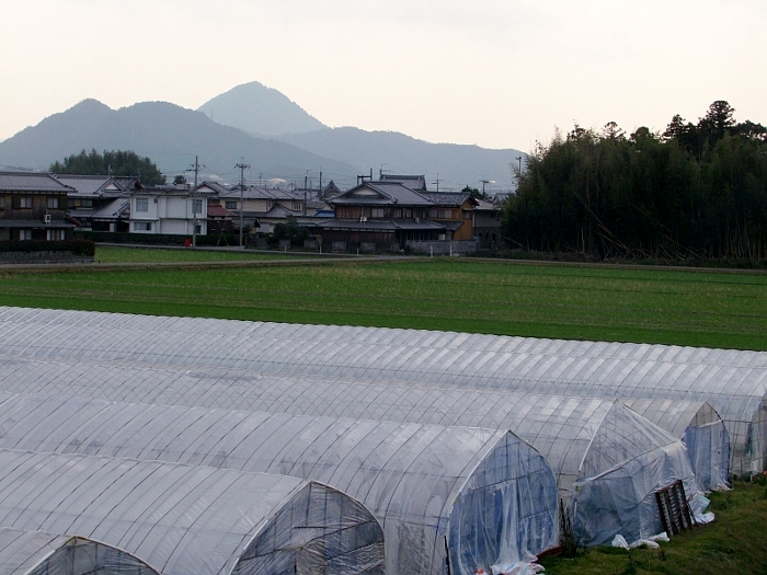 写真拡大