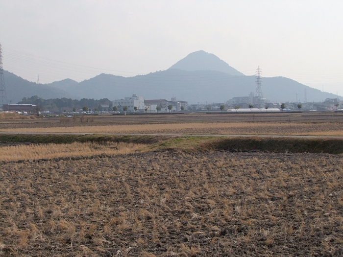 写真拡大