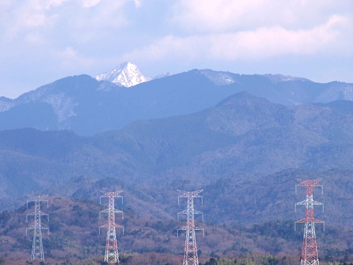 写真拡大
